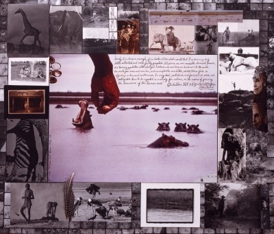 FAB Spotlight: Peter Beard by Olumide S Akingbade « FAB BLOG #peter #beard #collage