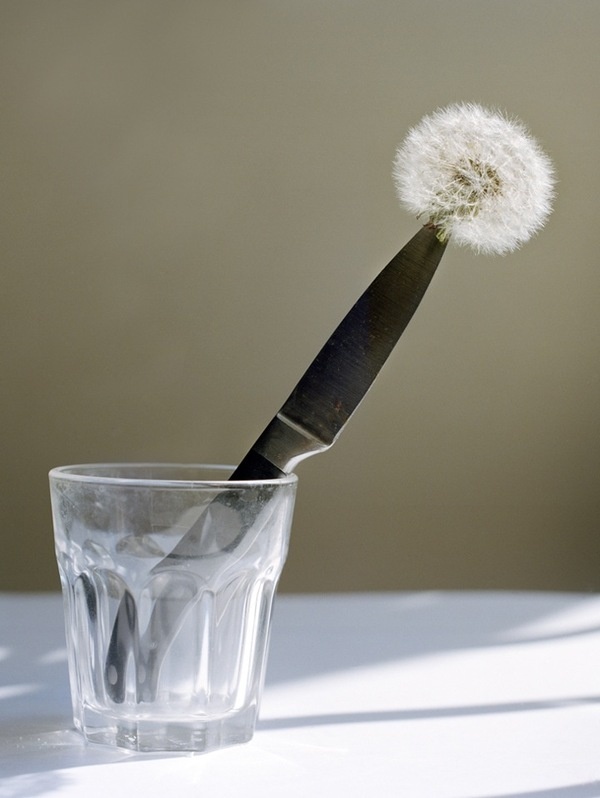 Bridget Collins10 – Fubiz™ #fubiz #bridget #collins10