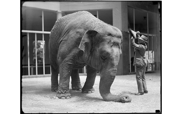 Mrcup-blogselection-12.jpg (изображение «JPEG», 900 × 567 пикселов) #elefhant