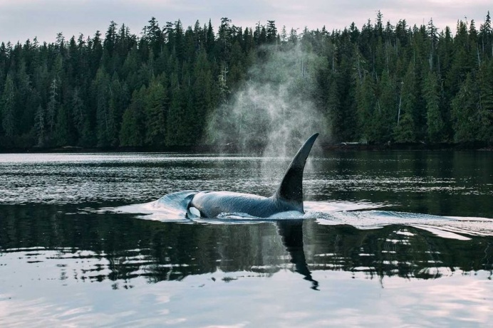 The Child of Marble: Anze Osterman Documented Life on The Remote Alaskan Island