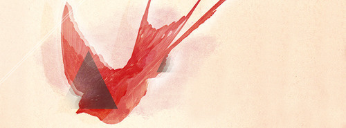 http://evilevich.tumblr.com Make misatkes. #design #illustration #red #bird #triangle #aparaats