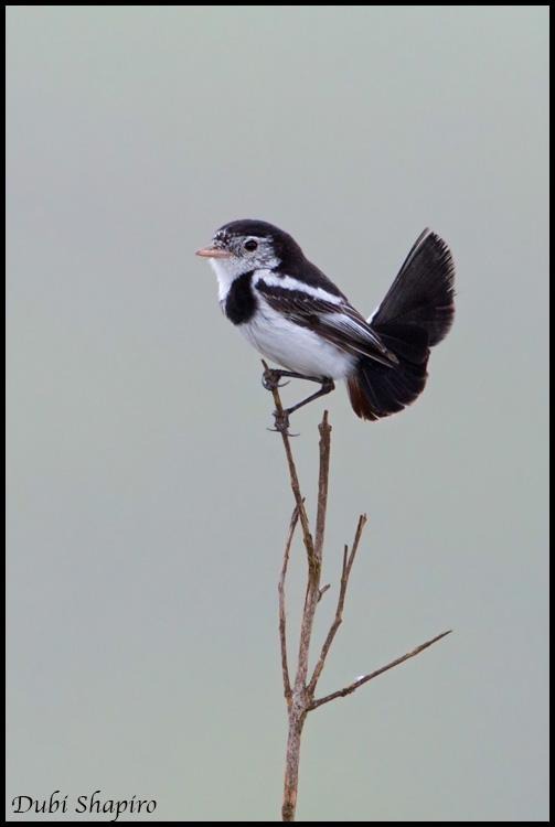 Related image