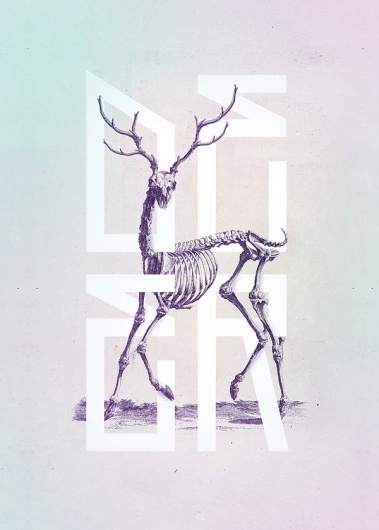Bone - Anatomy Illustrated on the Behance Network #illustration #typography