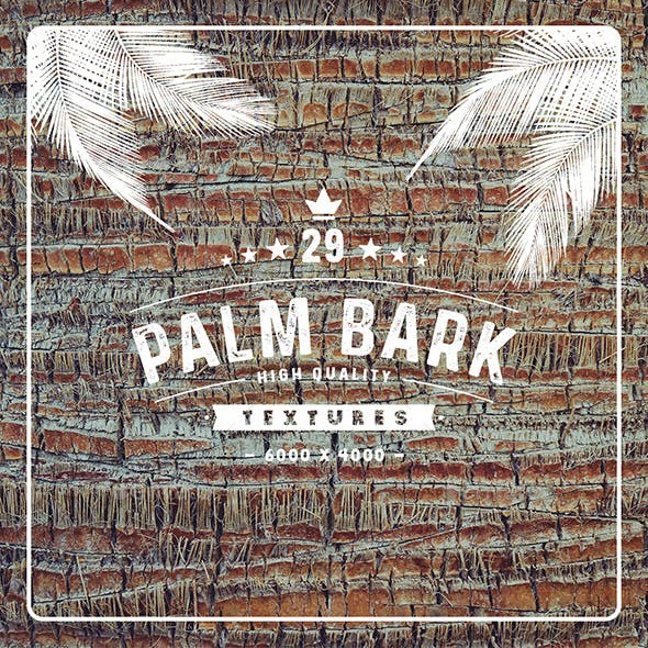 29 Palm Bark Textures #palm #palmbark #textures