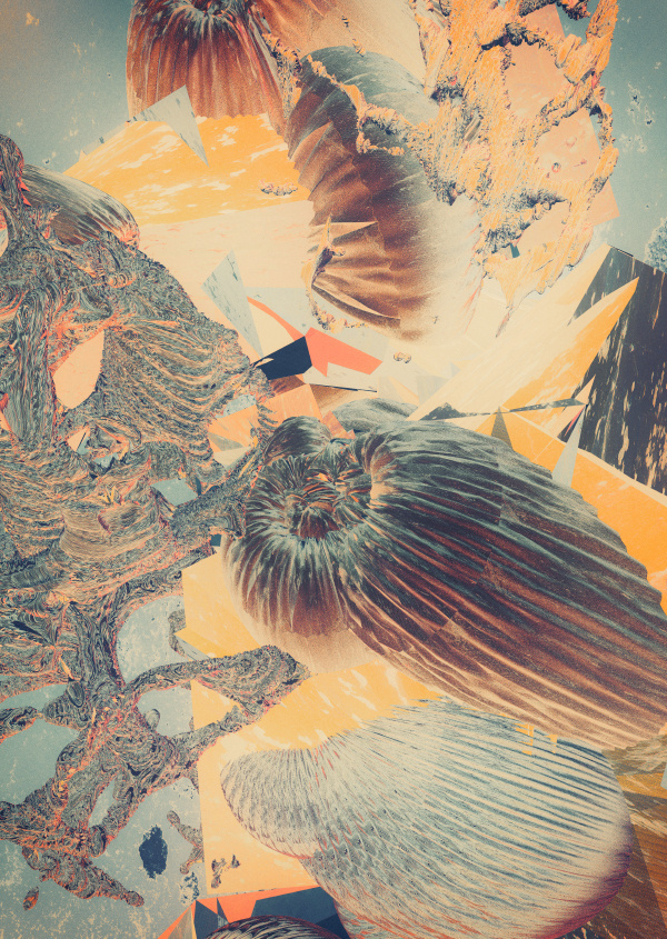 Metamorphosen III atelier olschinsky #olschinsky #design #graphic #collage
