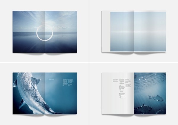 Best Awards Designworks. / Ora King Photography #design #graphic