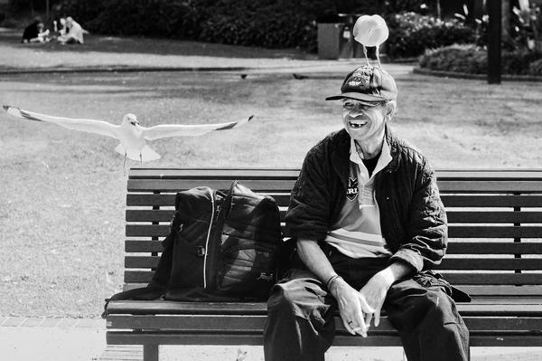 500px / I'm your friend, birds by Rabbit Hoang #white #black #bird #bench #seagull #friend #photography #and #moment
