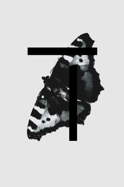 Firn & Fire | PICDIT #design #collage #art