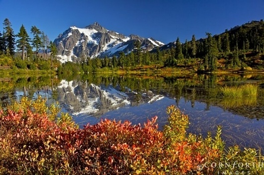 Nature Photography by Jon Cornforth » Creative Photography Blog #inspiration #wildlife #photography #nature