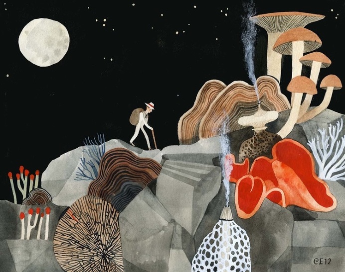 Mousseron Midnight of Munan Bjørgulfssonfor MUSH, MUSH, THE SLOPING MIDNIGHT LINE, a 2012 exhibition at Nationale
