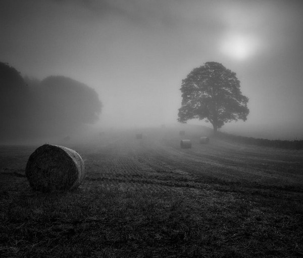 Landscape Photography by Mark Littlejohn #inspiration #photography #landscape