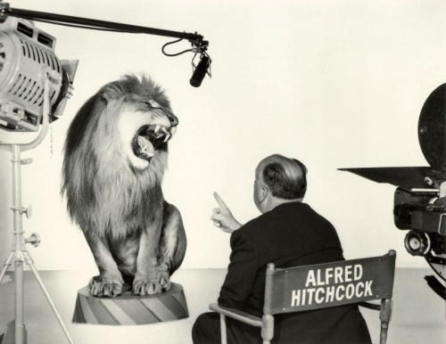 tumblr_lqi0gjRXED1qz4allo1_500.jpg 500×386 pixels #lion #hitchcock