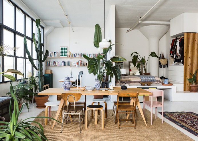 Really Great Ideas for White Walls Apartment Decorating