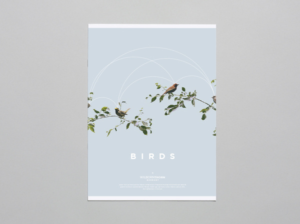 Birds on Behance #editorial