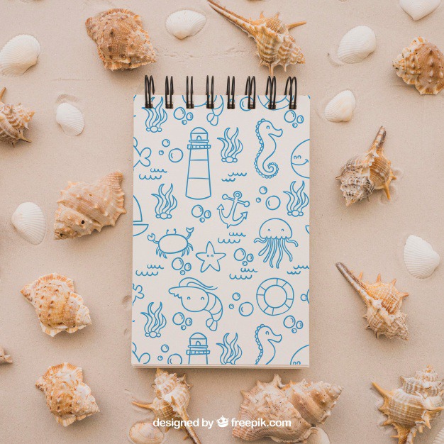 Summer concept with notepad and mollusks Free Psd. See more inspiration related to Mockup, Summer, Paper, Beach, Sea, Sun, Holiday, Mock up, Decorative, Vacation, Sand, Summer beach, Marine, Notepad, Up, Season, Concept, Shells, Composition, Mock, Summertime, Seasonal and Mollusks on Freepik.
