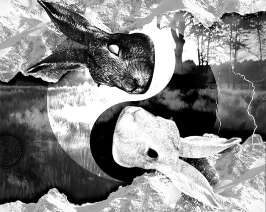 Lou Madhu #down #artwork #watership #digital #lou #madhu #rabbit #collage