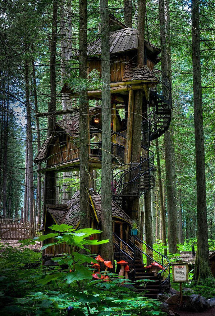 A Treehouse In British Columbia, Canada #treehouse