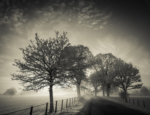 Photography by Mark Littlejohn #inspiration #photography #landscape