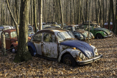 VW Mountain