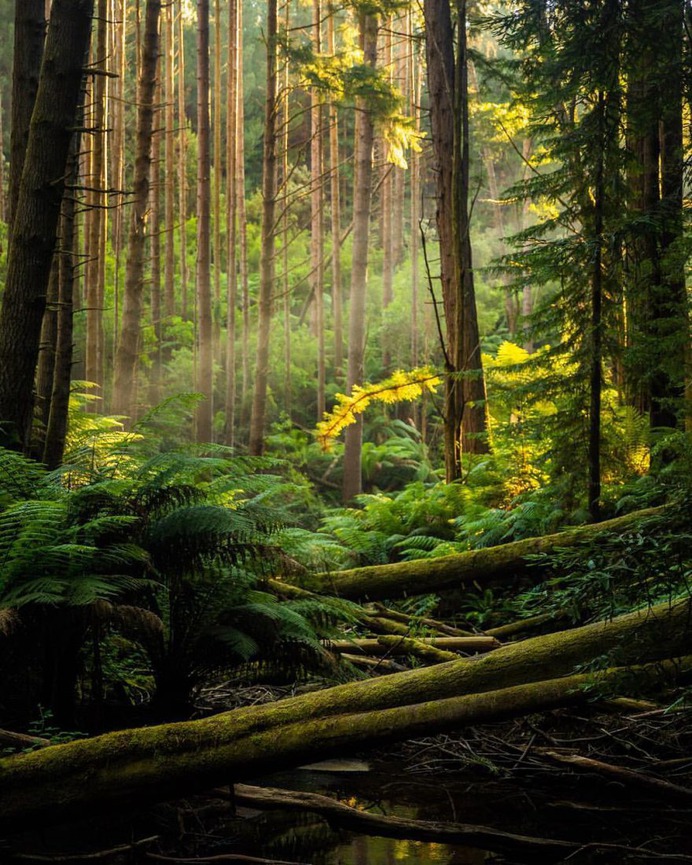 Wonderful Outdoor and Landscape Photography by Callum Snape