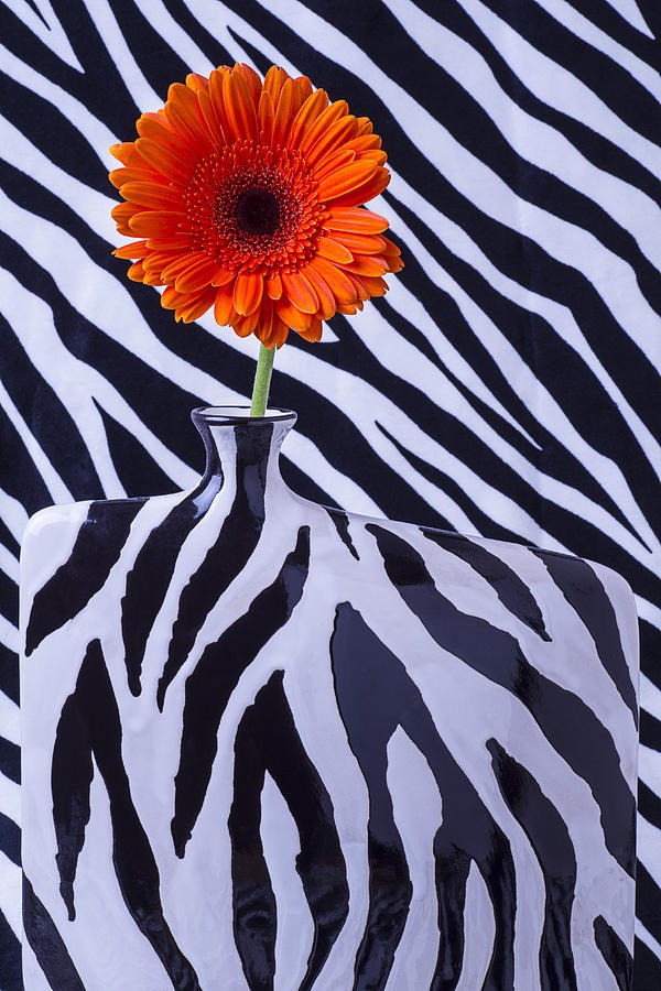 daisy painting & daisy paint by number #painting