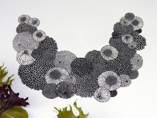 Flora Illustrations on the Behance Network #illustration