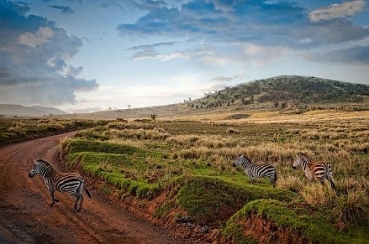 Travel Photography by Sam Gellman » Creative Photography Blog #inspiration #photography #travel