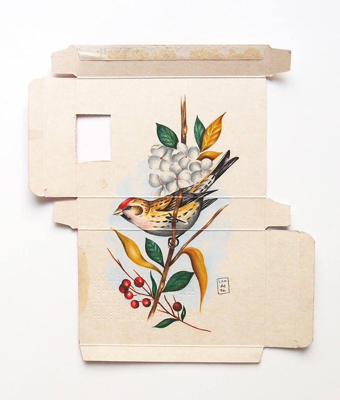 New Birds Painted on Pharmaceutical Packaging by Sara Landeta