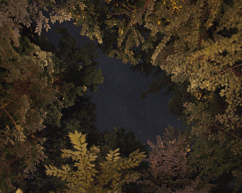 We have to remember that what we observe is not nature herself, but... but does it float #night #nature #sky