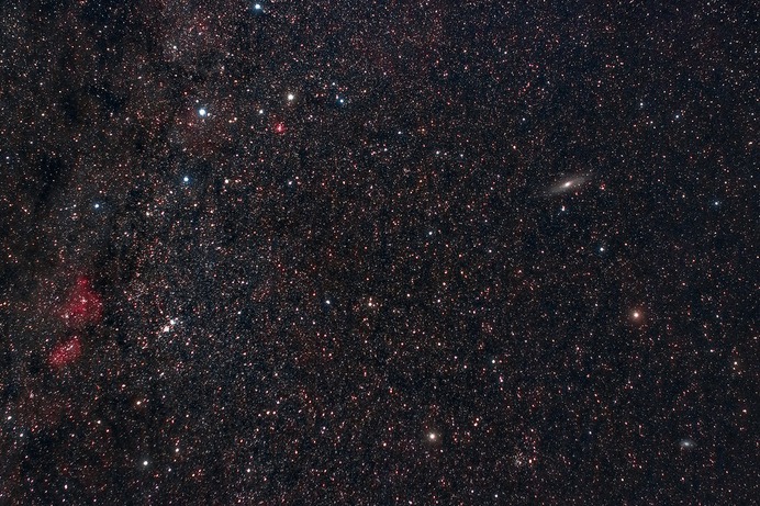 Christmas stars
