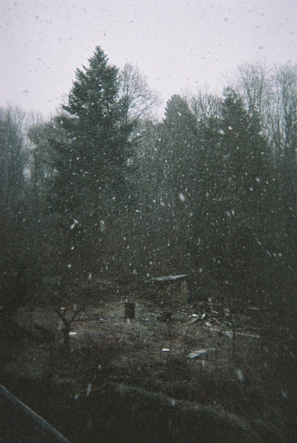 tumblr_mihpgaibmT1rmjruoo1_1280.jpg (1232×1840)