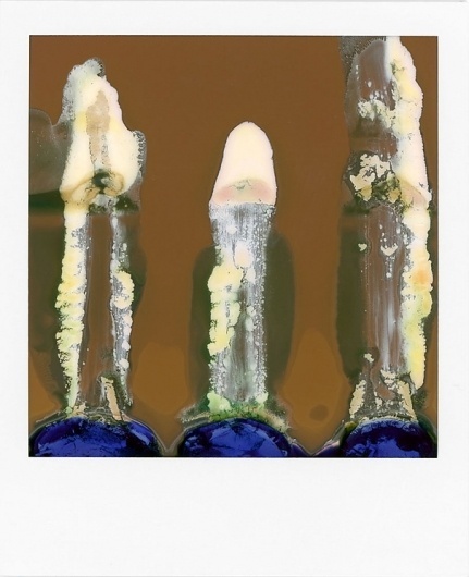 Ruined Polaroid by William Miller #photography