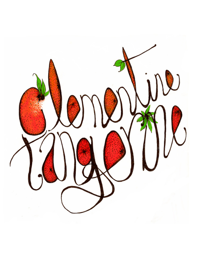 Citrus... www.anditisgood.com #ink #oranges #typography #design #fruit #art #drawing #citris