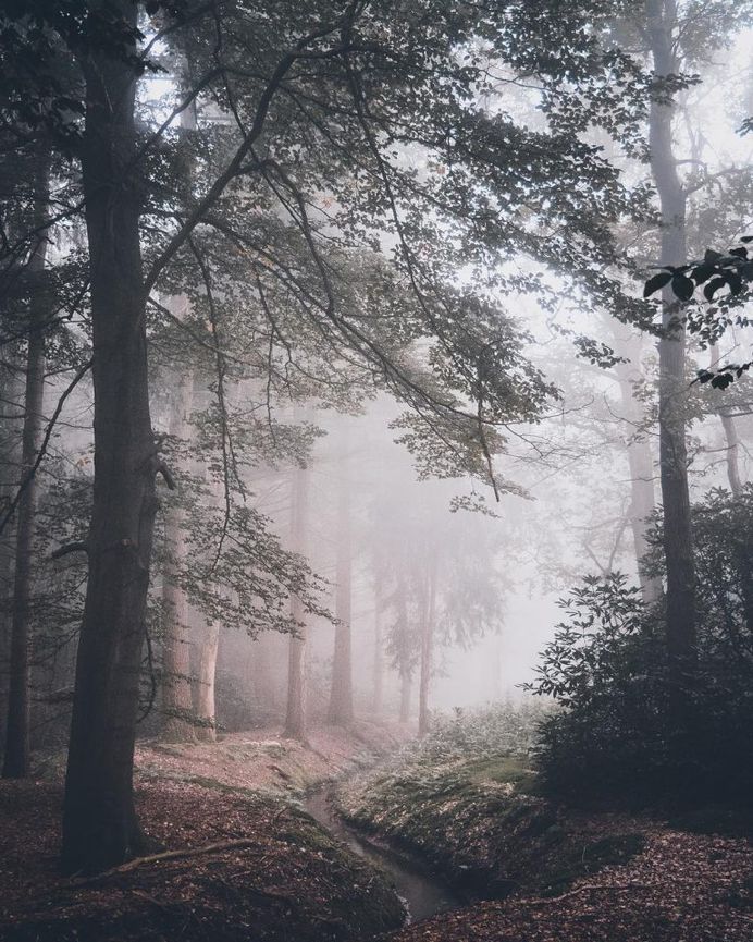 Ronald Jansen Captures the Beauty of Netherlands Through Stunning Landscapes