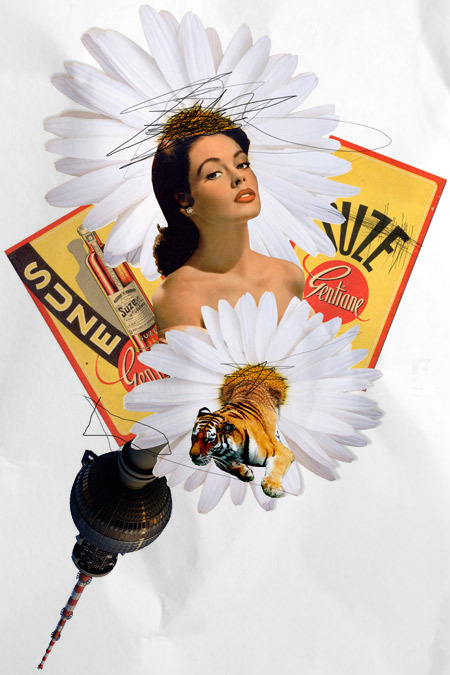 The Royal Bureau #tiger #collage #suze #daisy