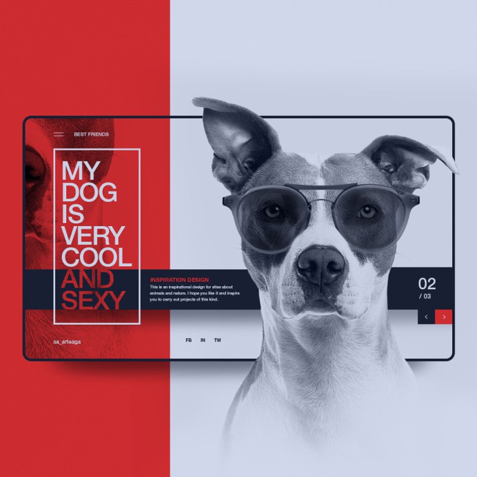 Best Friend – Inspiration Design