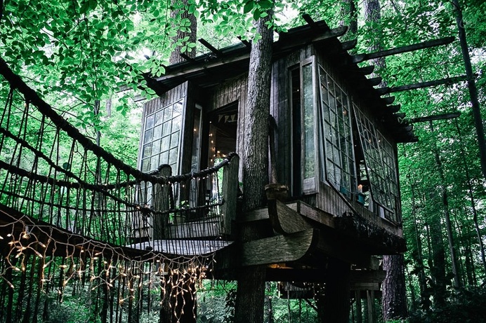 TREEHOUSE TRIO