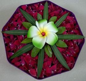 Floating rangoli with leaves and flower in center