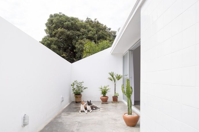 Roof patio open to the sky. 711H House by BLOCO Architects. © Joana França.