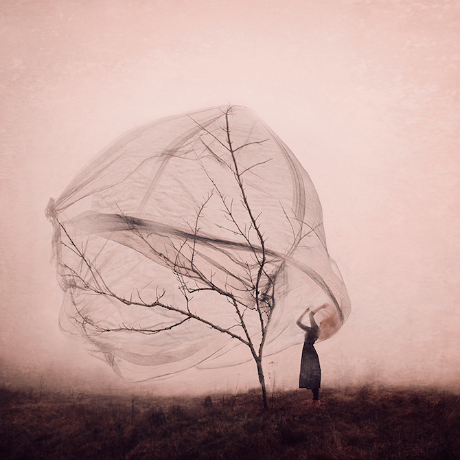 #photo