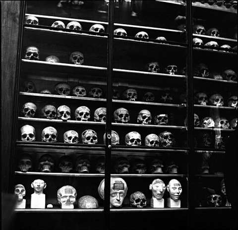 FFFFOUND! | YIMMY'S YAYO™ #skulls