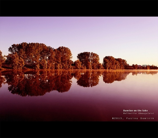 Photography by Dominik Fusina #photography