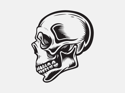Skull #kendrick #skull #kidd #illustration