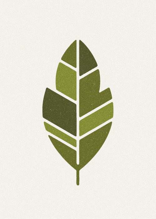 ck/ck #illustration #leaf