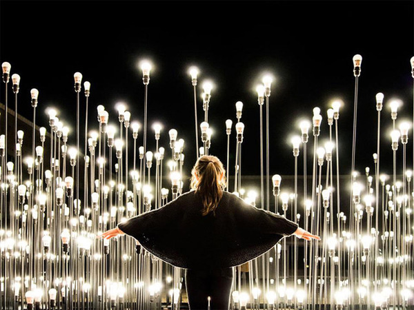 LEDscape: A Lightbulb Landscape in Portugal #bulbs #light #installation