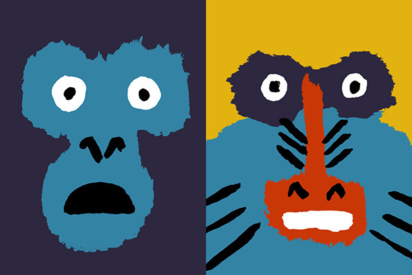 5 #faces