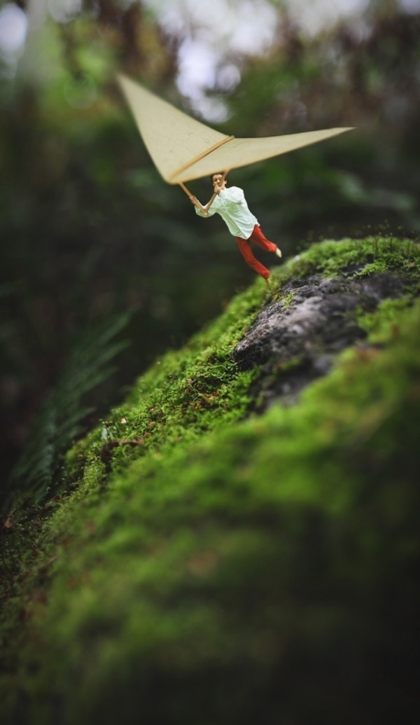 Fiddle Oak #inspiration #photo #photography #manipulations
