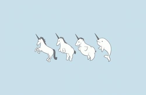 Sara Lindholm #illustration #unicorn #narval