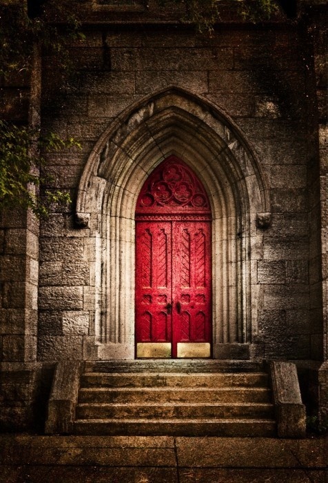 Photography by Mark Boughton #inspiration #photography #art #fine