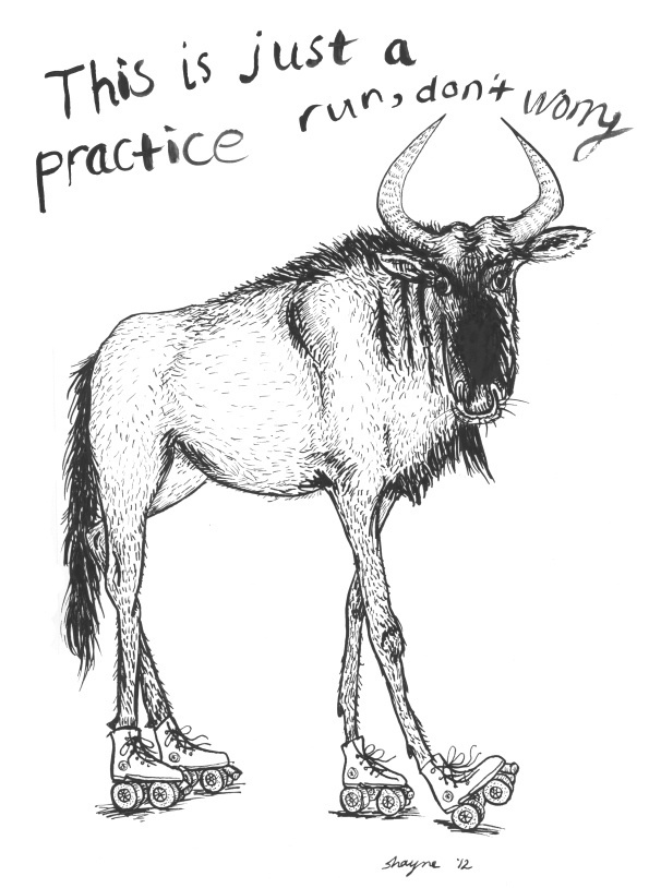 Wildebeest by @bec #illustration #animal #black #and #white #drawing #roller #skates